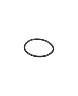 O - Ring für Tankdecke