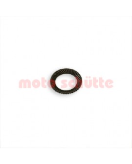 Safety Disc for Screw